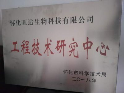 杏彩在线登录荣获“怀化市工程技术研究中心”称号